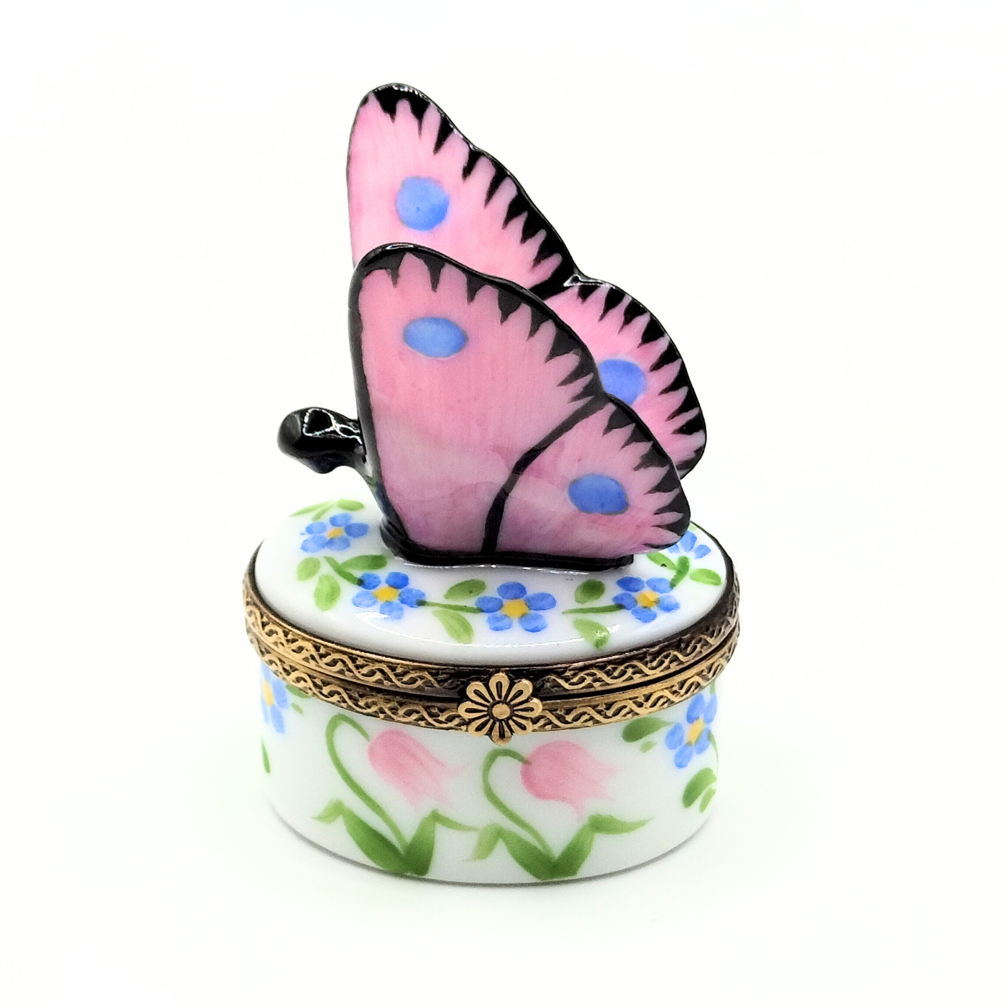 Piéride Butterfly Box