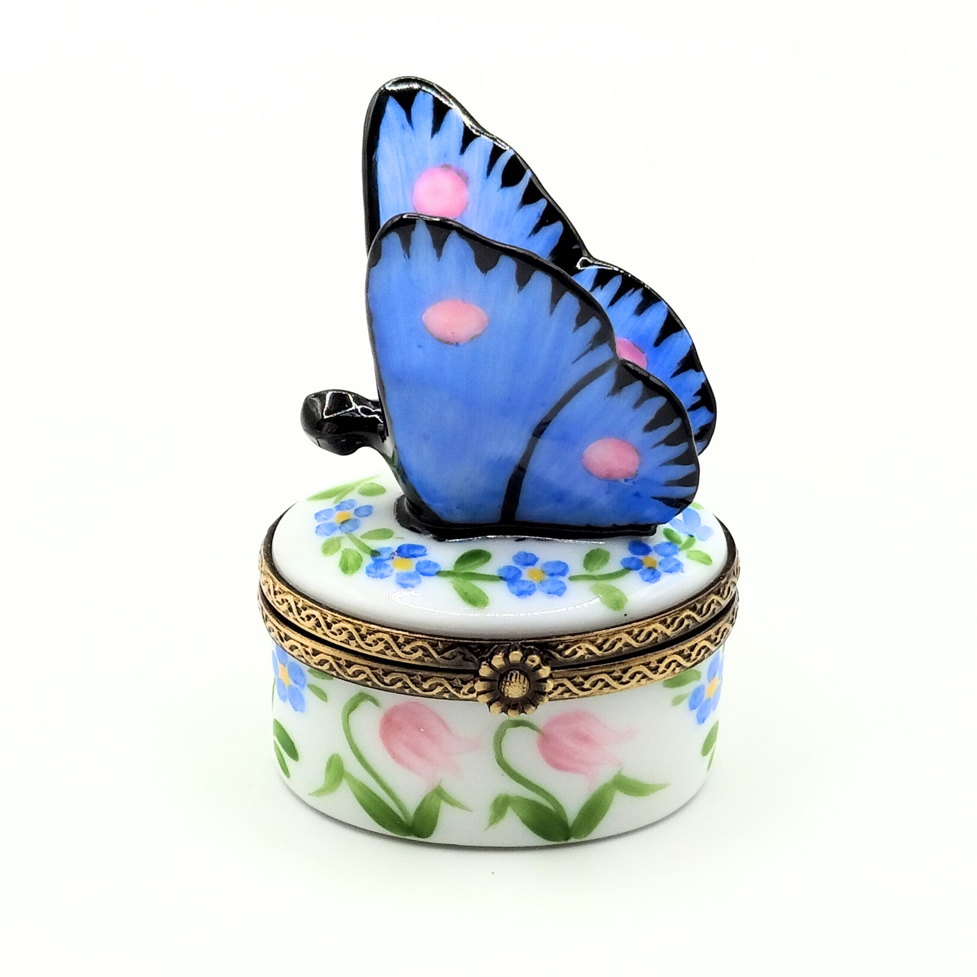 Piéride Butterfly Box