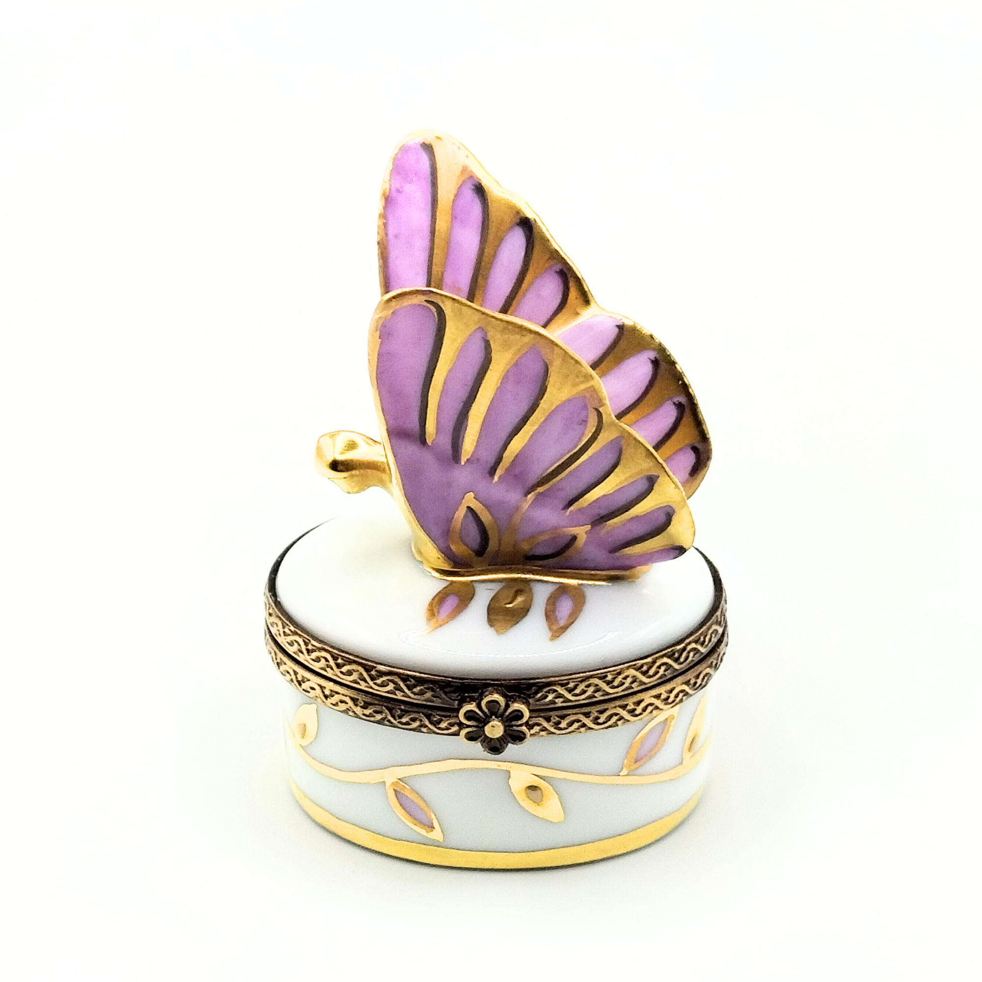 Papillon Infini Ciel Butterfly Box