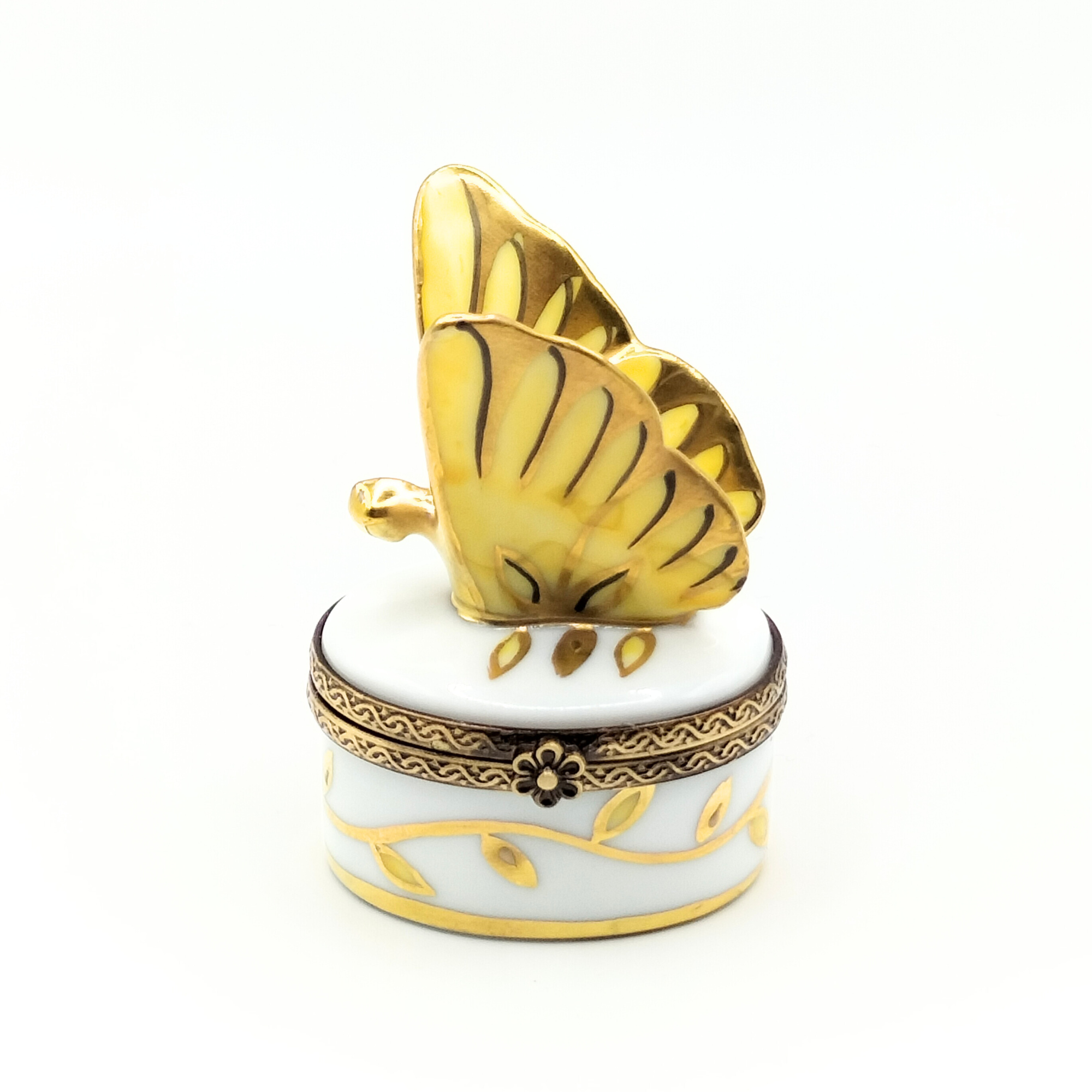 Papillon Infini Ciel Butterfly Box