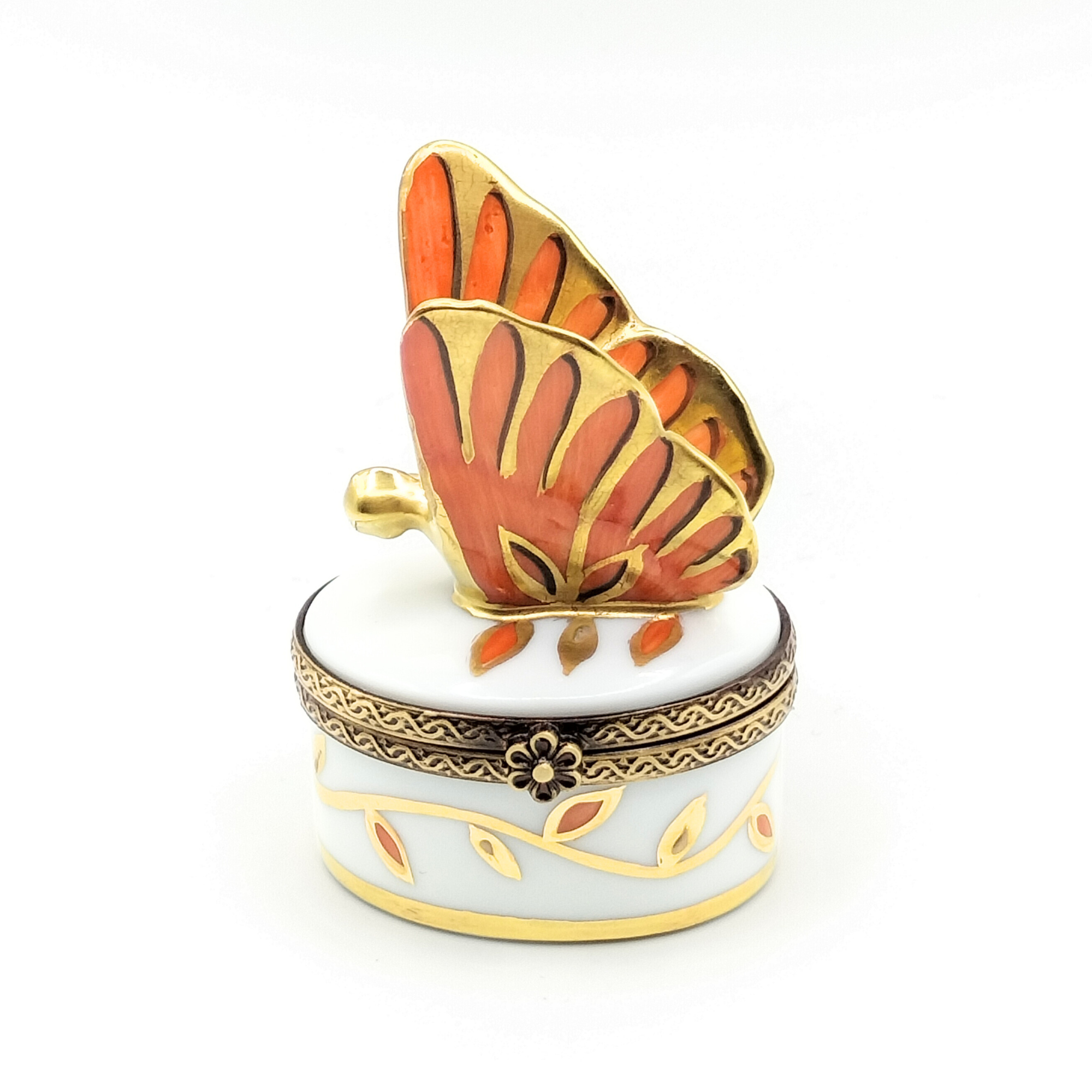 Papillon Infini Ciel Butterfly Box
