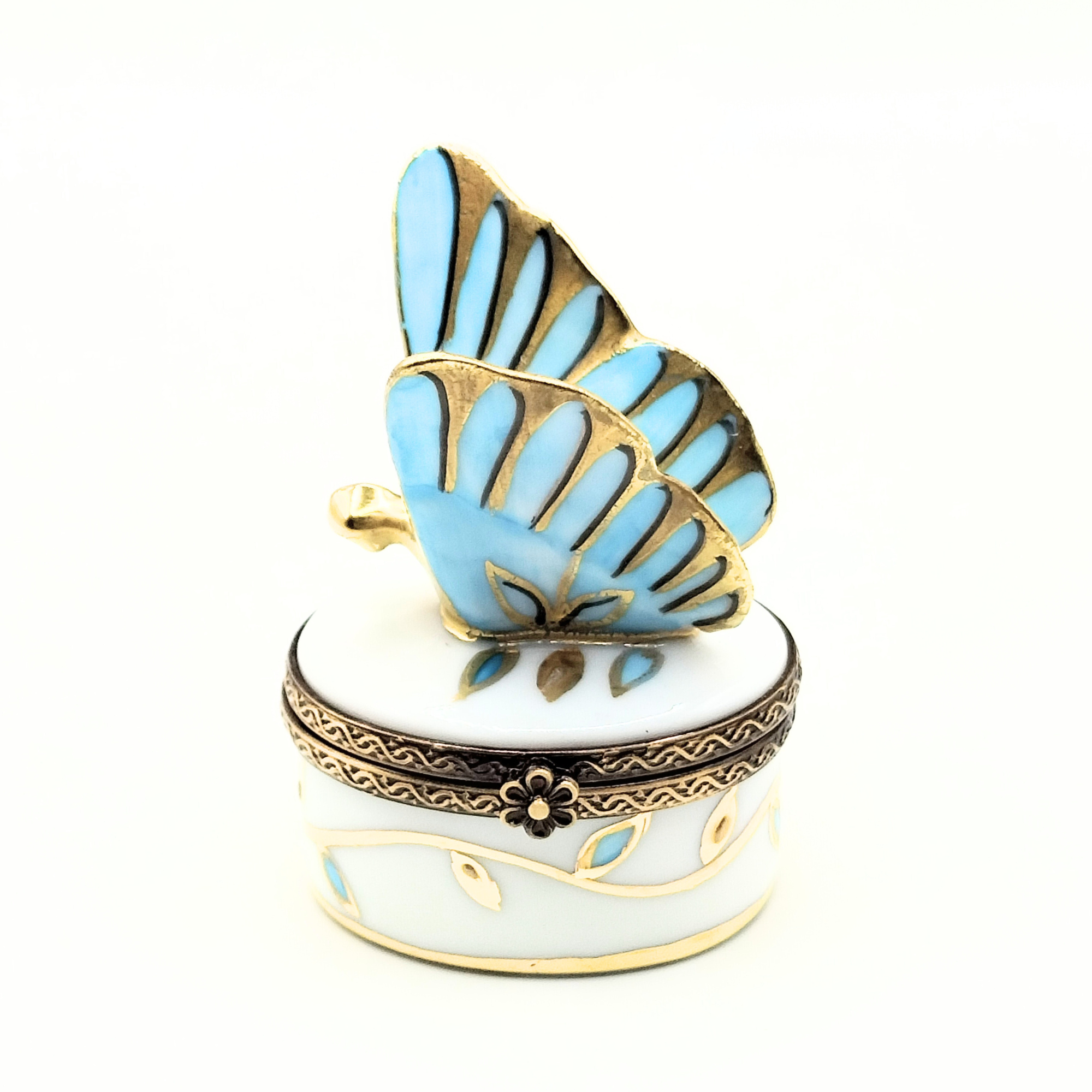 Papillon Infini Ciel Butterfly Box