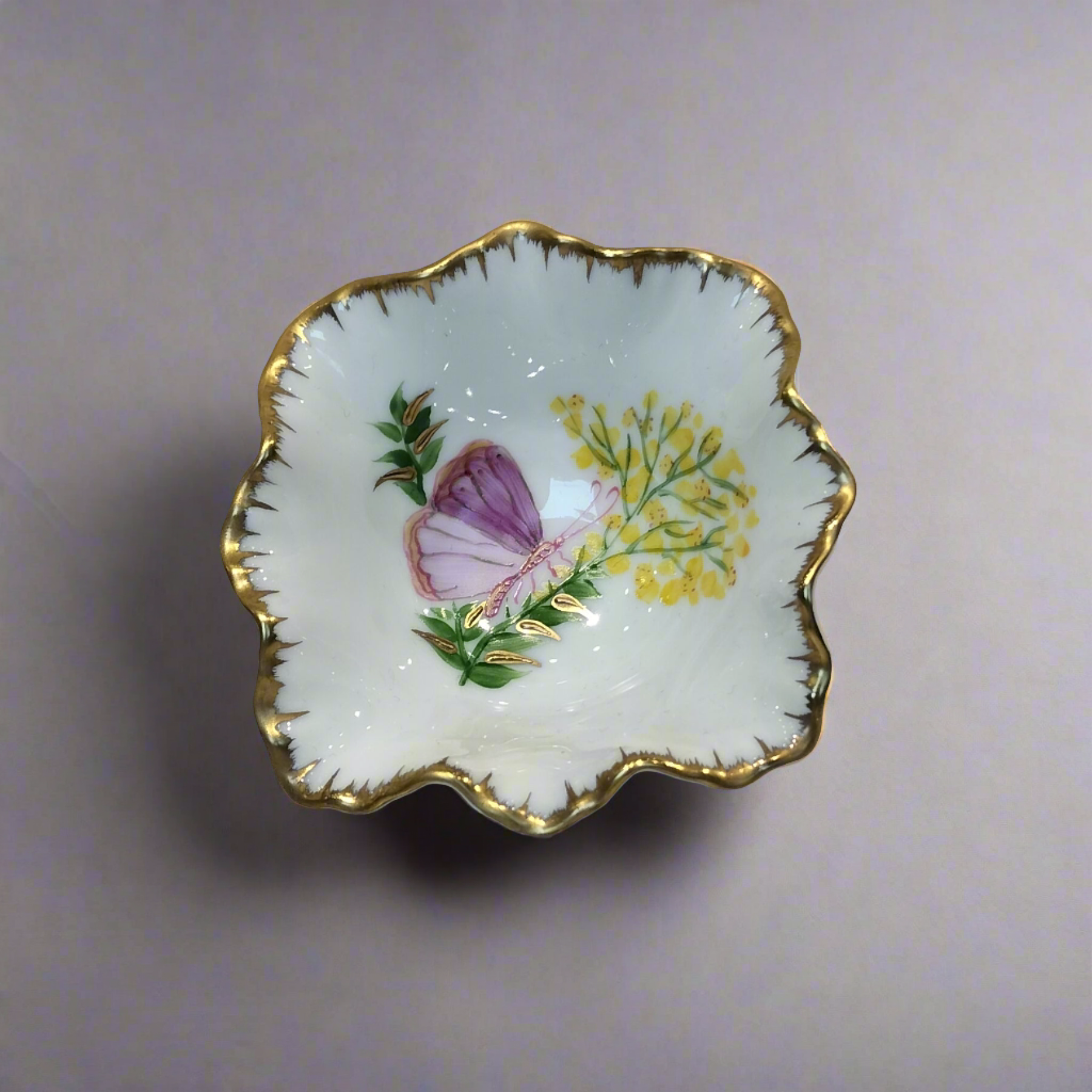 Rocaille Cup Papill