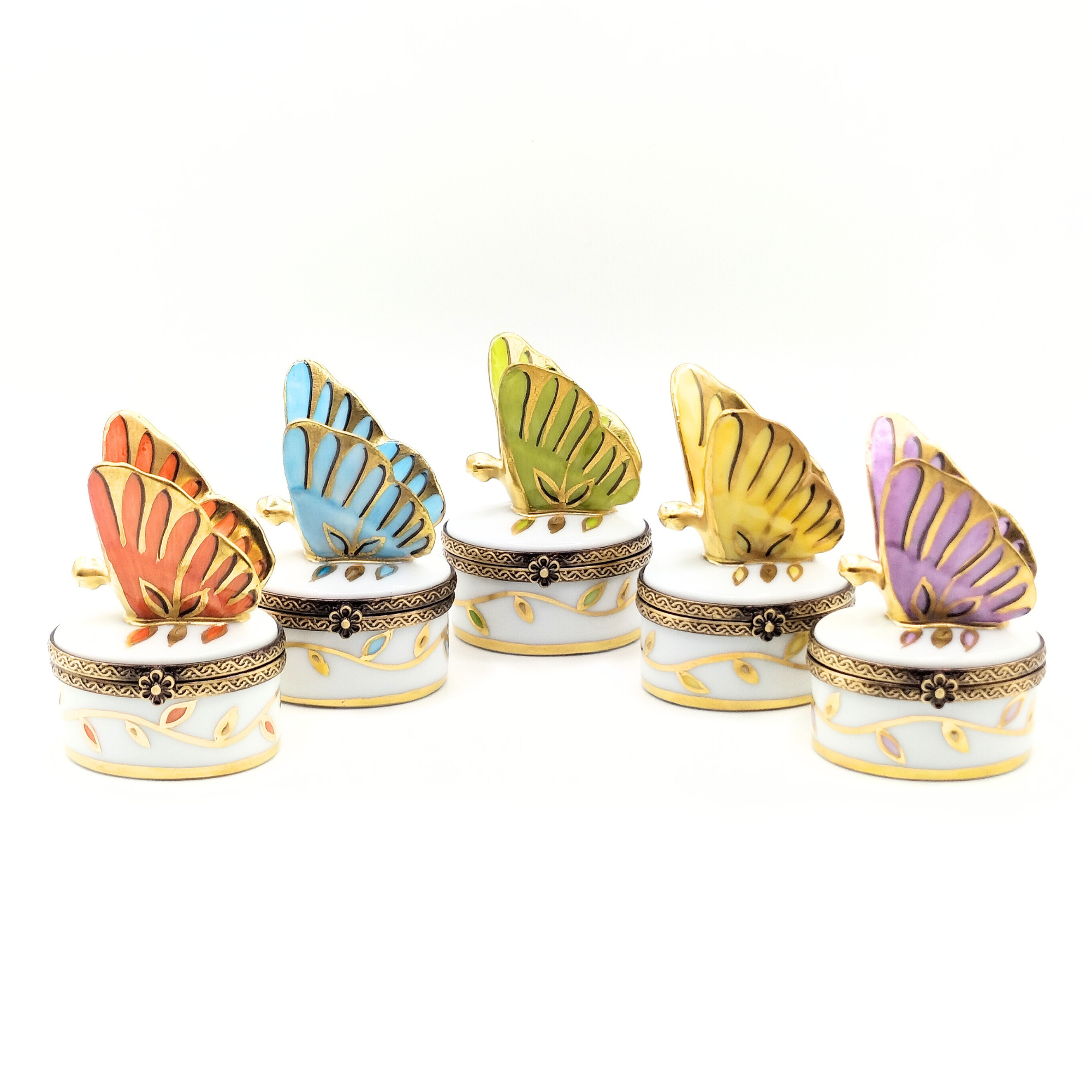 Papillon Infini Ciel Butterfly Box