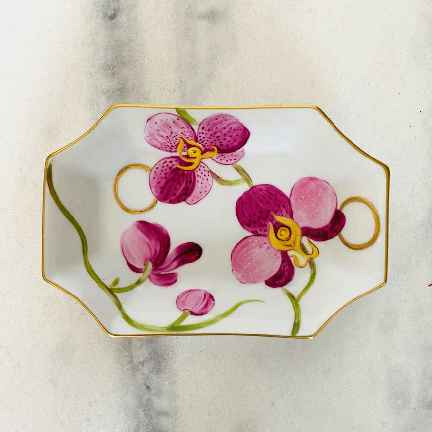 Tidy Orchid