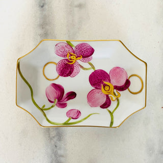 Tidy Orchid