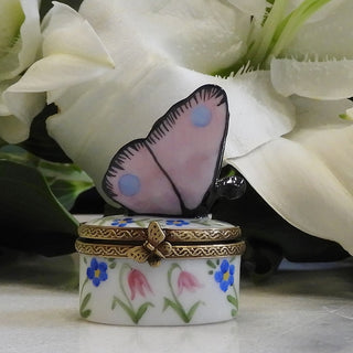 Boîte Papillon Dahlia