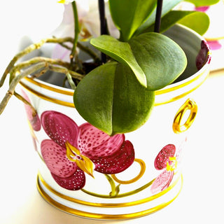 Gold Orchid Planter