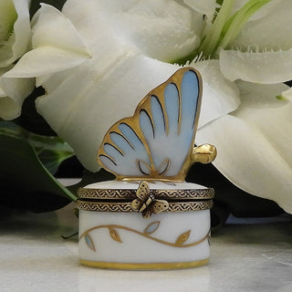 Papillon Infini Ciel Butterfly Box