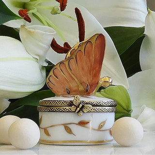 Infini Mangue Scented Butterfly Box